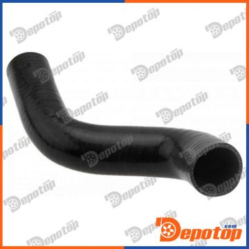 Gaine de suralimentation pour RENAULT | GPP-RE-029, 09-0086